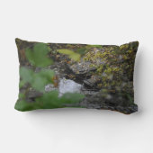 地球の魅惑 ランバークッション (裏面)