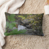 地球の魅惑 ランバークッション (ブランケット)