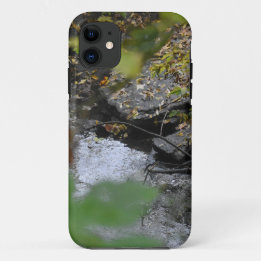 地球の魅惑 iPhone 11 ケース