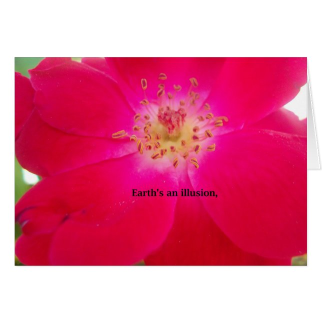 地球は幻想だ (正面横)