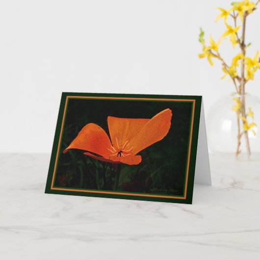 地球は花で笑います: ケシ。  中の引用文 カード (黄色い花)