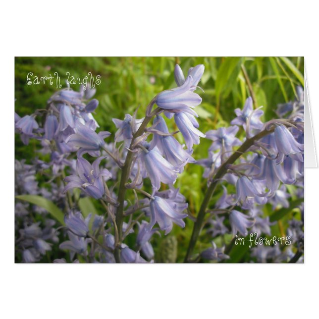 地球は花-空白のなカードで笑います (正面横)