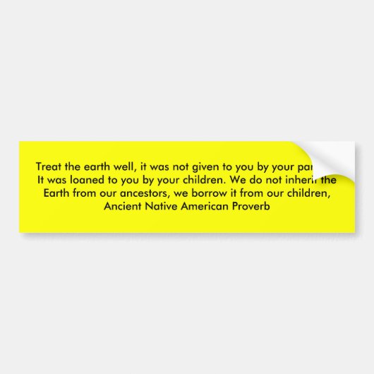 地球を、それ与えられませんでしたあなたにb…よく扱って下さい バンパーステッカー (正面)