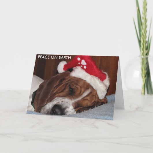 地球カードの平和 シーズンカード (正面)