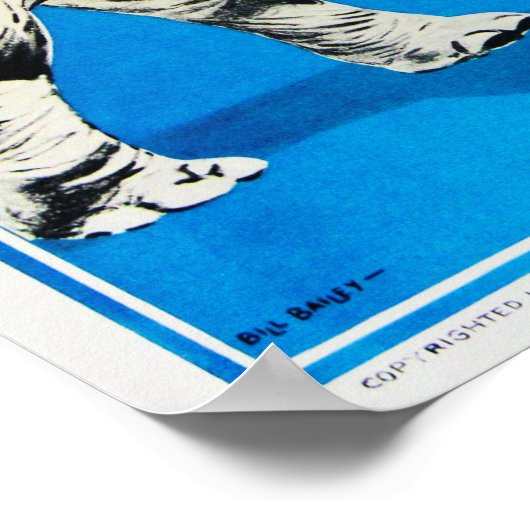 地球サーカス素晴らしアサントでのリンギングブロスショー ポスター (角)