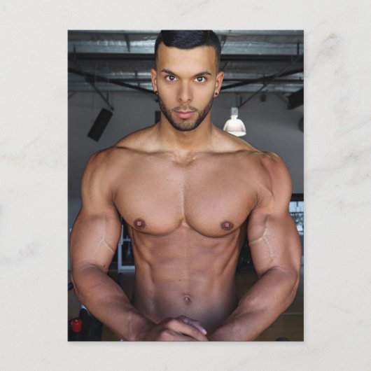 地球上で最もホットなハンクス！平等の時間！ ポストカード (正面)