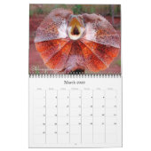 地球上で最も好奇心旺盛な12頭の動物 カレンダー (3月 2026)