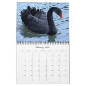 地球上で最も好奇心旺盛な12頭の動物 カレンダー (1月 2026)