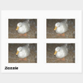 地球上で最も珍しいアヒル 長方形シール (シート)