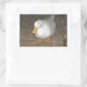 地球上で最も珍しいアヒル 長方形シール (バッグ)