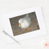 地球上で最も珍しいアヒル 長方形シール (封筒)