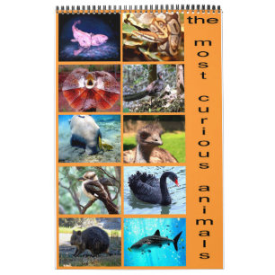 地球上で最も興味深い12の動物 カレンダー