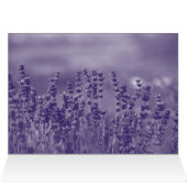 地球上で最も驚くべき義理の娘 (内部横(上))