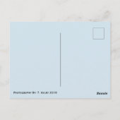 地球儀はがき ポストカード (裏面)