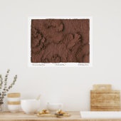 地球感じの動き ポスター (キッチン)