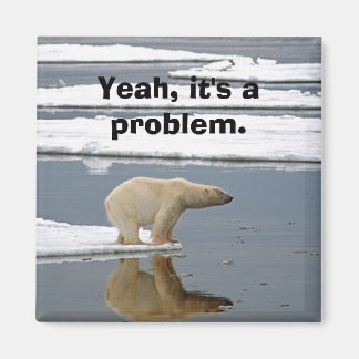 地球温暖化 マグネット