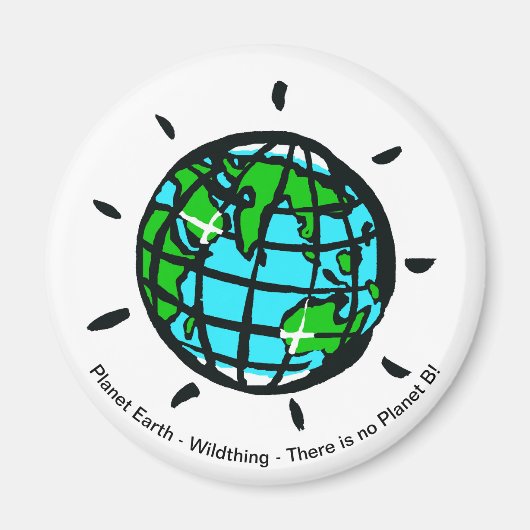 地球 – 磁石 (正面)