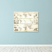 地理的分布 キャンバスプリント (インサイチュ (ウッドフロア))