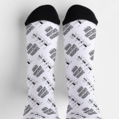 地磁気極性内部の磁気異常 ソックス (上部)