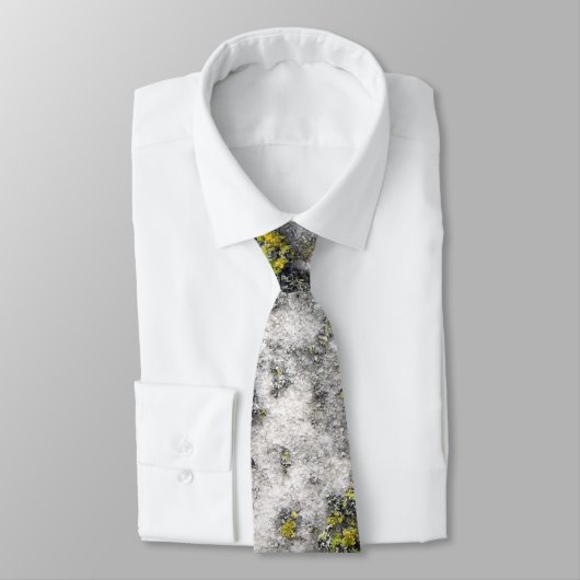 地衣のタイ ネクタイ (タイ)