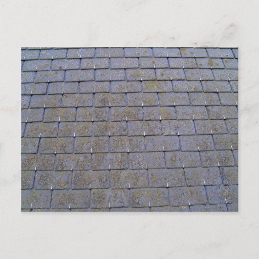 地衣を使用した屋根瓦のクローズアップ ポストカード (正面)