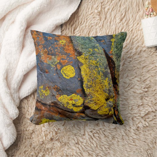 地衣被覆岩 クッション (ブランケット)