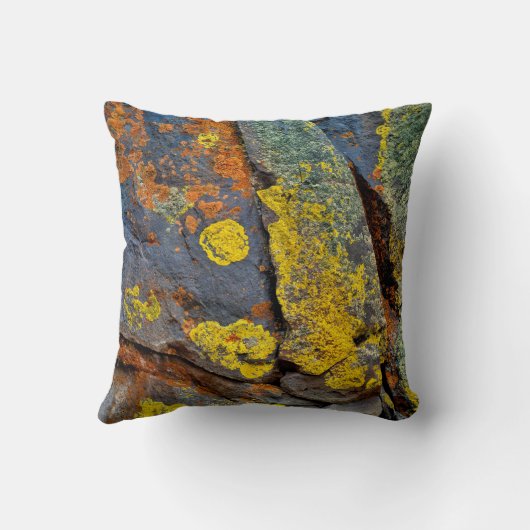 地衣被覆岩 クッション (裏面)