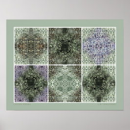 地衣詩 ポスター