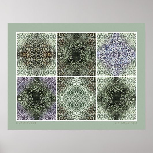 地衣詩 ポスター (正面)