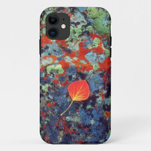 地衣類に覆われた岩の上のアメリカヤマナラシの葉 Case-Mate iPhoneケース (裏面)