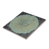 地衣類モッシー タイル (側面)