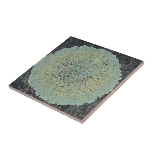 地衣類モッシー タイル (側面)