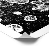 地衣類 ポスター (角)