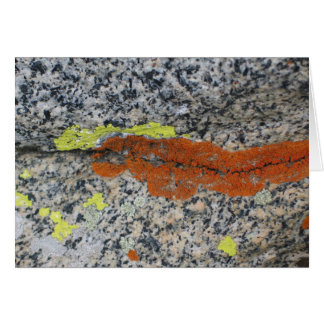 地衣、セコイア国立公園