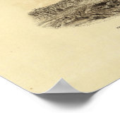 地質図のタイトルページ ポスター (角)