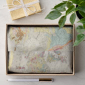 地質地図ヨーロッパ 薄葉紙 (ギフト)