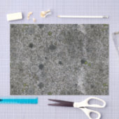地質学のコケが付いている灰色の花こう岩の石 薄葉紙 (クラフト)