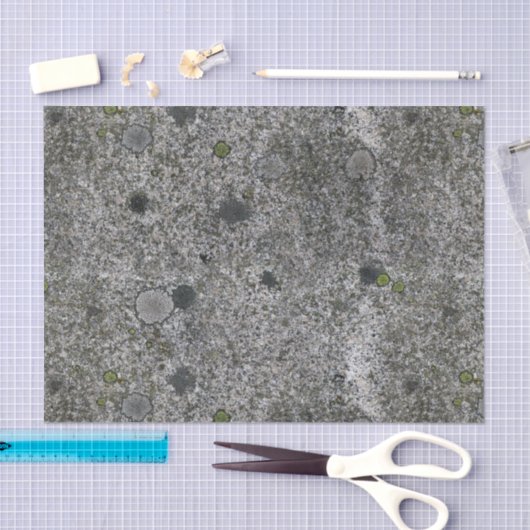 地質学のコケが付いている灰色の花こう岩の石 薄葉紙 (クラフト)