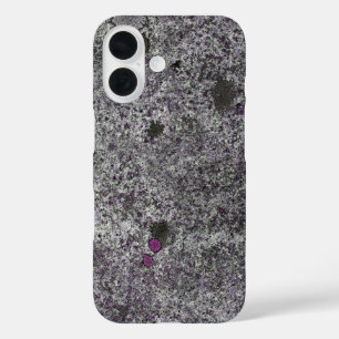 地質学の自然の花こう岩の石ピンクの詳細 iPhone 16ケース