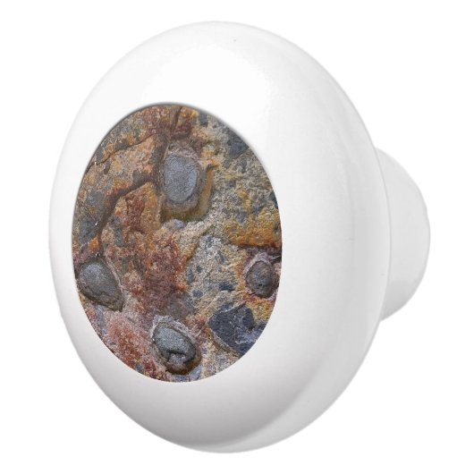 地質学グランジーセデマンタリー岩石組織 セラミックノブ (右)