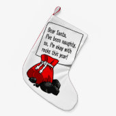 地質学者いけなクリスマスストッキング、ロックハウンド スモールクリスマスストッキング (正面 (吊り時))