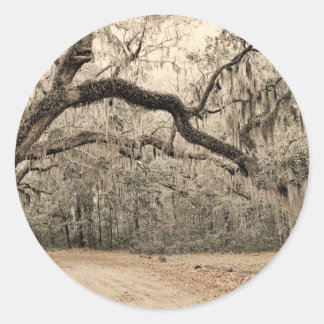 地震のアーチ ラウンドシール