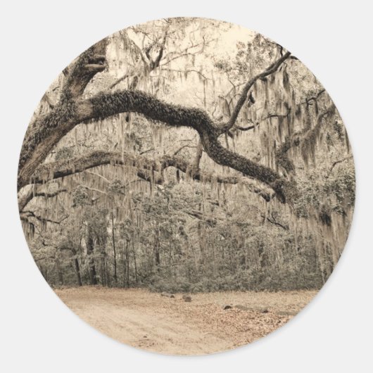 地震のアーチ ラウンドシール (正面)