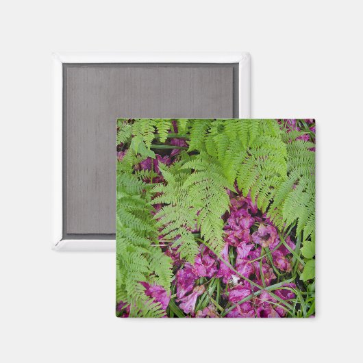 地面にピンク色の花の花びらがある森林シダ マグネット (正面/裏面)