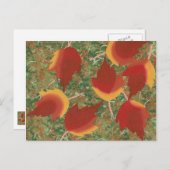 地面に散る抽象的な秋のイロハカエルの葉のポストカード ポストカード (正面/裏面)