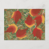 地面に散る抽象的な秋のイロハカエルの葉のポストカード ポストカード (正面)