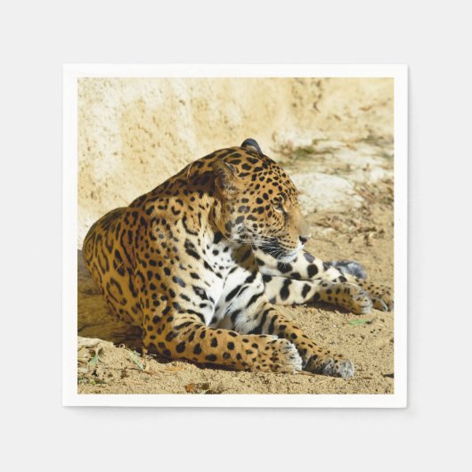 地面に横たわるジャガーのクローズアッププロファイルポートレート スタンダードカクテルナプキン (正面)