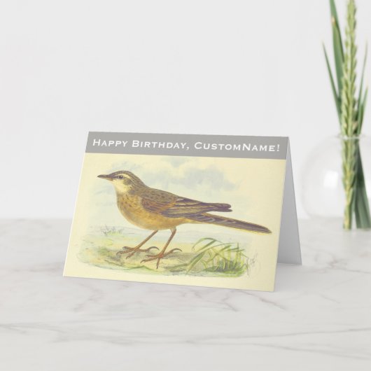 地面に立つ茶色い羽の鳥 カード (正面)