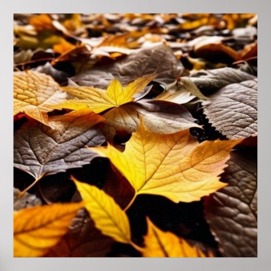 地面に美しい秋の葉4ポスター ポスター (正面)