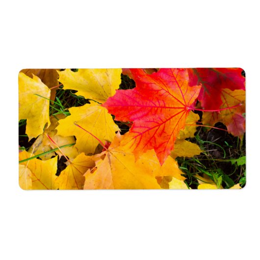 地面に落葉ちるカエデの花 ラベル (正面)